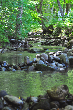 choosehurdlesorbeauty